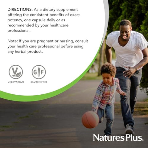 Herbal Actives Gymnema Sylvestre – 300 mg – Suplemento Botânico Ayurvédico – 60 Cápsulas Veganas (60 Porções) - Natures Plus