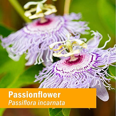 Extrato Líquido de Passiflora Orgânica Certificada – 118 ml (4 fl oz) - Herb Pharm