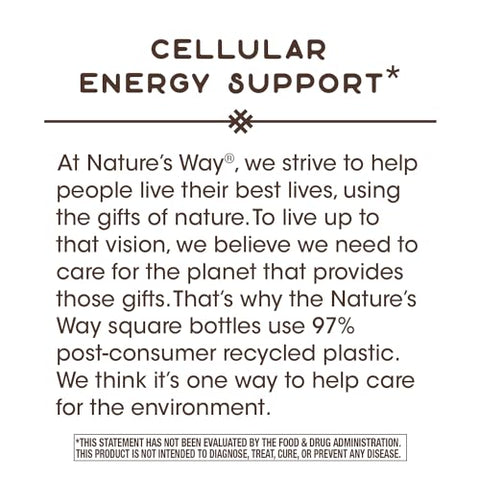 Nature's Way - Nature’s Way Krebs Magnesium Potassium Complex – Suporte Energético Celular – Com Magnésio Lysinate – 100g