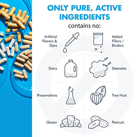 Vitamin Mineral Base Powder – Multivitamínico Sem Ferro com Vitaminas B Ativas e Minerais Quelados (312g, 60 Porções) - Metabolic Maintenance