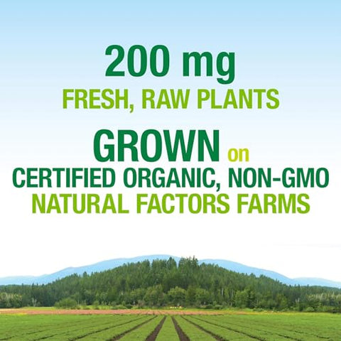 Natural Factors - Whole Earth: Manteiga de Amendoim Orgânica – 100% Natural e Deliciosamente Saudável – 500g