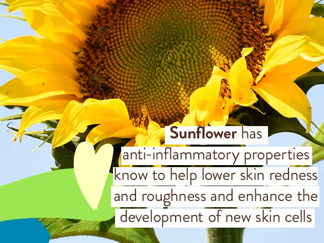 Babo Botanicals Protetor Solar Mineral para Bebês Sensíveis SPF50 – Óxido de Zinco Natural – Rosto – 50g