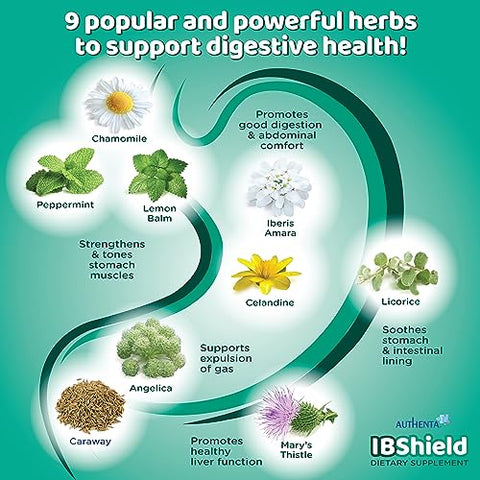 AUTHENTA - IBShield Tintura 100ml | 9 Ervas | Suporte à Saúde Gastrointestinal | Camomila, Iberis Amara, Angélica, Alcaravia, Celidônia, Alcaçuz, Melissa, Cardo de Maria | Produto de Marca