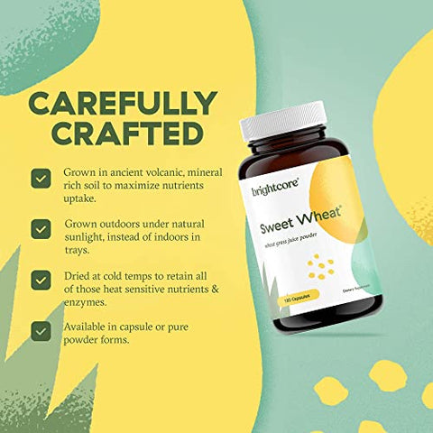 Brightcore - Nutrition Sweet Wheat: Athletic Greens Prontos para Beber, Super Greens com Enzimas Digestivas para Saúde Digestiva e Impulso Imunológico, 180 Cápsulas de Pó de Suco de Capim de Trigo