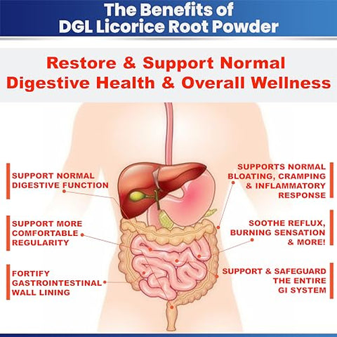 Kidney Restore - DGL Extrato de Alcaçuz em Pó para Restauração Digestiva e Reparo do Intestino Permeável – 2-Pack