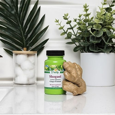 Daily Manufacturing - 6-Shogaol Vegetarian Capsules 120 – Extrato de Gengibre Não-OGM – 6-Gingerol – 120 Cápsulas Vegetarianas