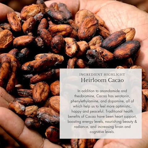 Anima Mundi Apothecary - Anima Mundi Cogumelo Orgânico – Cacau com Cogumelos Adaptogênicos – Pó de Cogumelo Revigorante com Lion’s Mane, Shiitake, Chaga – 100g