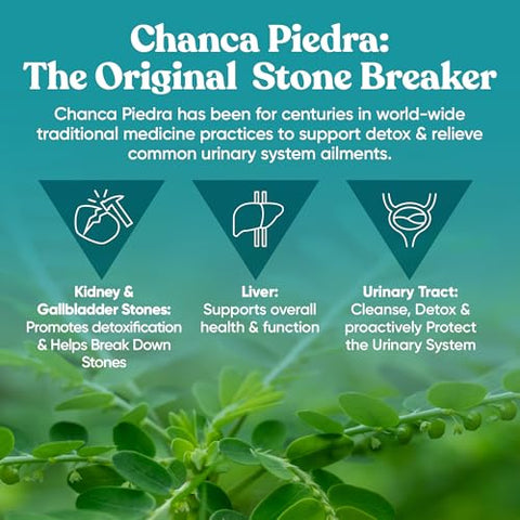 Eu Natural - Chanca Piedra Stone Breaker – Dissolvedor Natural, Limpeza Renal | 100% Natural | 60 cápsulas | Marca Chanca Piedra
