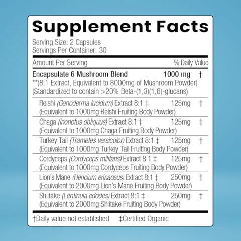 ENCAPSULATE - Blend de 6 Cogumelos – Reishi, Chaga, Turkey Tail, Cordyceps, Lion’s Mane | Encapsulate