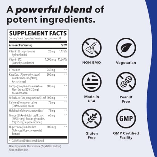 Focus-R: Suplemento de Suporte à Concentração – Todas as Idades – Potencializa o Desempenho Mental - LifeSeasons