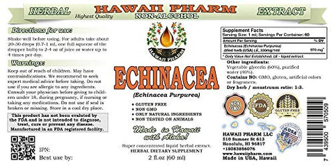 Echinacea Líquido Sem Álcool, Extrato de Echinacea Orgânica (Echinacea Purpurea) Erva Seca Glicerito Hawaii Pharm Suplemento Herbal Natural 2×60 ml
