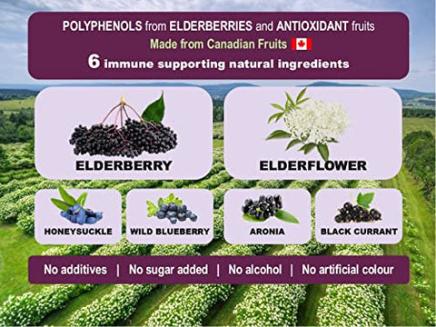 Fusion – Reforço Imunológico Poderoso com Sabugueiro, Flor de Sabugueiro e Frutas Ricas em Antioxidantes. Concentrado em Polifenóis. Feito com Ingredientes Canadenses - Immunia