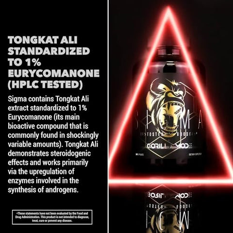 Sigma Testosterone Booster – Tongkat Ali e Extrato de Fadogia Agrestis para Aumentar os Níveis de Testosterona (120 Cápsulas) - Gorilla Mind
