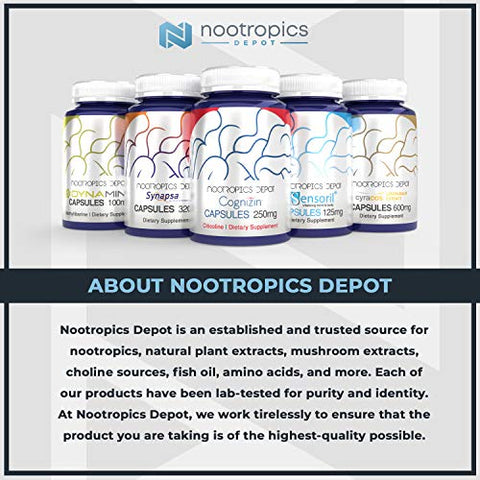 Cápsulas de 7,8-Dihidroxiflavona | 25mg | 120 Unidades | 7,8 DHF | Impulsionador Cerebral | Suporta Função Cognitiva e Saúde Cerebral - Nootropics Depot