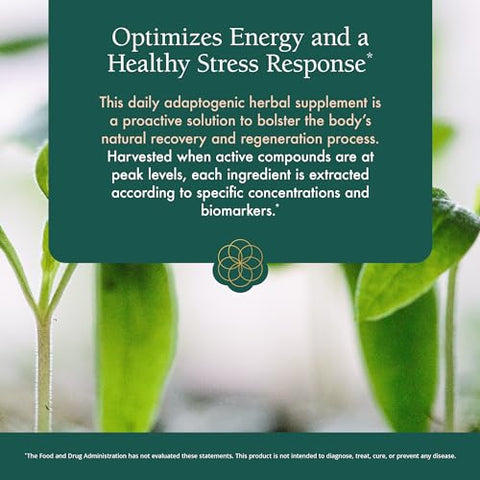 Power Adapt – Suporte Profundo para Adrenais e Sistema Endócrino – Com Ashwagandha, Ginseng, Rhodiola Rosea e Cordyceps (60 cápsulas) - Natura Health Products