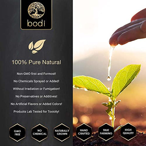 bodi - Extrato em Pó de Cogumelo do Leão 10:1 | 113g a 2268g | Natural Puro Livre de Químicos
