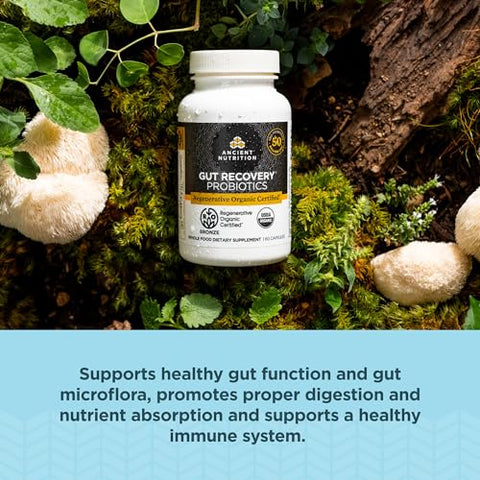 Probióticos Certificados Orgânicos Regenerativos para Recuperação Intestinal, Recuperação Intestinal com Probióticos, para Digestão Saudável e Suporte ao Sistema Imunológico, 50 Bilhões de UFCs* - Ancient Nutrition