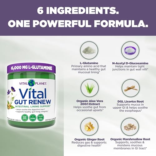 Renovação Vital do Intestino em Pó para Reparo do Intestino Permeável com L-Glutamina, Malva e Raiz de Gengibre, Raiz de Alcaçuz DGL e Aloe Vera Orgânica, L Glutamina 6000mg – Produto Vital Planet - Vital Planet