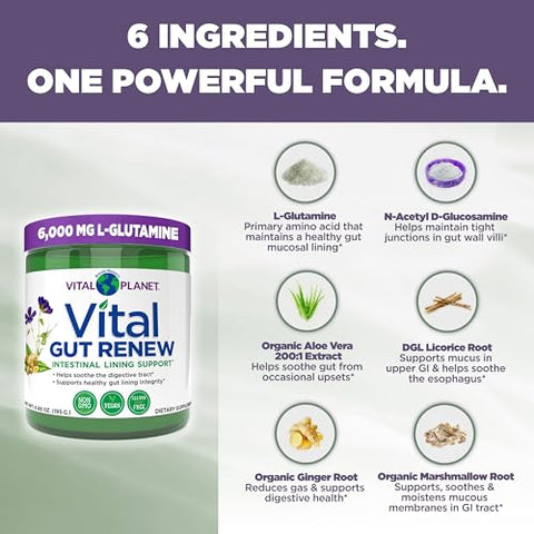 Renovação Vital do Intestino em Pó para Reparo do Intestino Permeável com L-Glutamina, Malva e Raiz de Gengibre, Raiz de Alcaçuz DGL e Aloe Vera Orgânica, L Glutamina 6000mg – Produto Vital Planet - Vital Planet