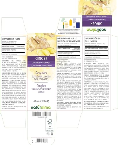 Gengibre (Zingiber officinalis) Tintura sem Álcool de Rizoma – 120 ml Extrato Líquido em Gotas – Vegano - Naturalma