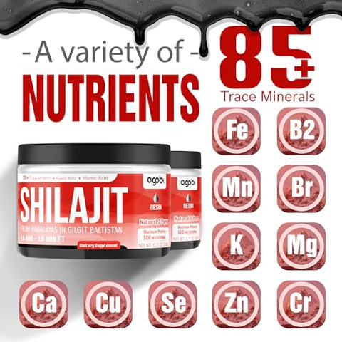 agobi - Shilajit Puro do Himalaia – 2 Pacotes 20g Resina Orgânica com 85 Minerais Traços, Ácido Fúlvico, Ácido Húmico – Suporte à Produção de Energia, Sistema Imunológico