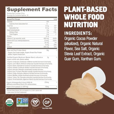 Mushroom Superfood Master Blend – Pó de Proteína à Base de Plantas, 19,26 Onças (545g), 16 Porções, Saboroso Chocolate Cremoso com Complexo de 10 Cogumelos, Leão Mane, Adaptógenos para Ótimo Desempenho - OM