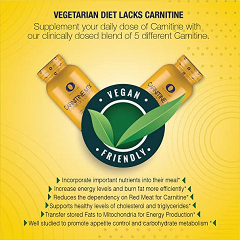 L Carnitine 1000mg MTX – Blend de Aminoácidos de Carnitina Fumarato, L-Carnitina L-Tartarato, Acetil L-Carnitina, L-Carnitina HCL, L-Carnitina Base 120 Cápsulas Vegetarianas - Infinite Labs
