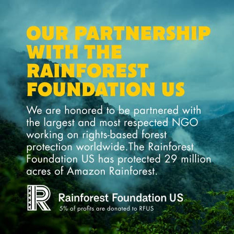 SHANTI BAR - SAVE THE RAINFOREST by SHANTI BALANCE | Mango Cashew Turmeric | 15G Proteína Vegetal | Superfood Orgânico Sem Glúten | Fibra para Saúde Intestinal | Reforço Imunológico | Nutrição para Performance