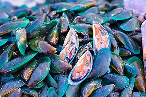 Óleo de Mexilhão de Lábios Verdes da Nova Zelândia 100% Puro, Equivalente a 12.500mg, 120 Cápsulas – Poderoso Extrato 125:1, Suprimento de 2 Meses - Antler Farms