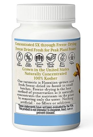 ECLECTIC INSTITUTE - Eclectic Institute – Cúrcuma Crua Liofilizada | Cultivada nos EUA | Vegetariana, Não-OGM, Sem Glúten | 90 CT (395 mg)