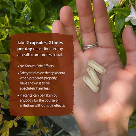 Cápsulas de Placenta de Veado Dragon Herbs | Suplemento de Placenta de Veado para Apoiar Rejuvenescimento, Regeneração e Produção de Sangue | Ingredientes Naturais, Não-OGM (60 Cápsulas, 500 mg)