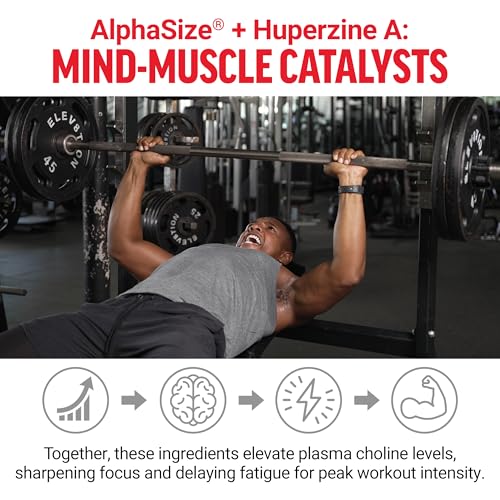 Volcano Extreme Pré-Treino Booster de Óxido Nítrico para Homens com Cr ...