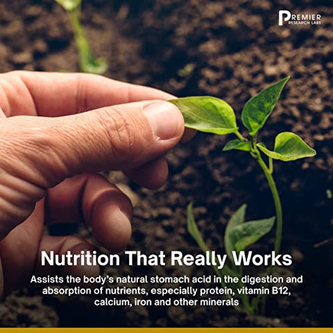 Complete B: Suplemento de Complexo de Vitamina B para Saúde Ótima | Vitamina B com Biotina | 9 Vitaminas B Ativas | para Fígado, Energia | Marca Premier Research Labs - Premier Research Labs