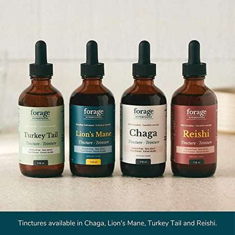 Chaga Selvagem Canadense Líquido Suplemento de Cogumelo Extrato, Vegano, Não-OGM, Impulsionador Natural do Sistema Imunológico, 118ML - Forage Hyperfoods