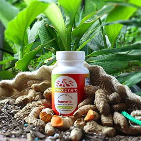 ECLECTIC INSTITUTE - Eclectic Institute – Cúrcuma Crua Liofilizada | Cultivada nos EUA | Vegetariana, Não-OGM, Sem Glúten | 90 CT (395 mg)