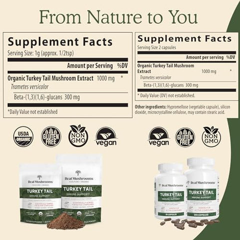 Pó de Cogumelo do Peru Real Mushrooms – Suplemento Orgânico de Cogumelo com Extrato Potente de Cogumelo do Peru para Intestino, Energia, Cérebro – 100g