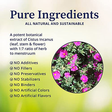 Cistus Incanus Extrato Herbal – Tintura de Cistus Incanus Selvagem Orgânico Rico em Antioxidantes e Polifenóis – 100ml - BioPure
