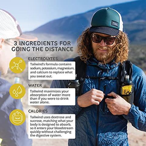 Endurance Fuel: Pó para Bebida Esportiva de Limão, Embalagem com 12 Unidades, Rico em Eletrólitos, Livre de OGM, Soja, Laticínios e Glúten, Vegano - Tailwind Nutrition