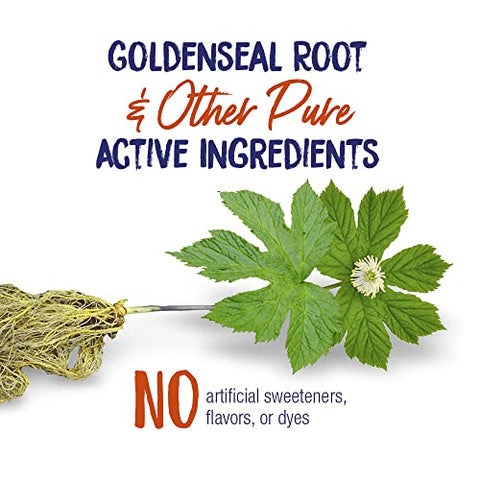 Chestal Xarope Adulto para Congestão Nasal e Torácica, Coriza e Alívio de Dor de Garganta – 200 ml - Boiron