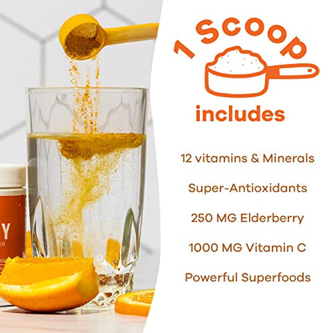 Suplemento de Suporte Imunológico em Pó – Reforço para a Imunidade – Superfood Vegano – Sabugueiro, Cúrcuma, Vitamina C e Vitamina B12 em Pó – Não-OGM – 100g - GOBIOTIX