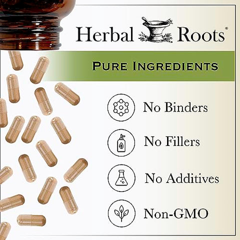 Herbal Roots - Raízes de Ervas Orgânicas de Cohosh Preto | 600mg Extra Forte | Suporte para Menopausa e Menstruação em Mulheres | 60 Cápsulas, Vegano