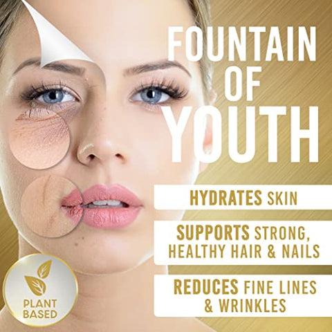 H2O Air Water Americas - Cristais de Enxofre Orgânico Gold Standard 454g – 99,9% Puro Cristais de MSM – Maiores Flocos Granulares de Enxofre – Testado por Terceiros Pó de MSM