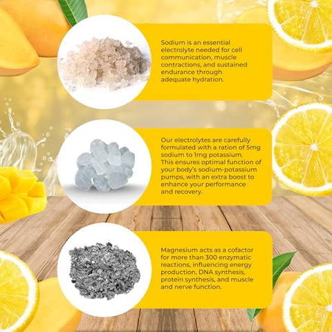 Real Salt Electrolytes Powder – Bebida de Hidratação em Pó de Limonada de Manga, Feita com Sal Rosa do Himalaia e Sal Marinho, Livre de Glúten, Keto, Sem Açúcar, Paleo, 30 Porções, 1g - Santa Cruz Paleo