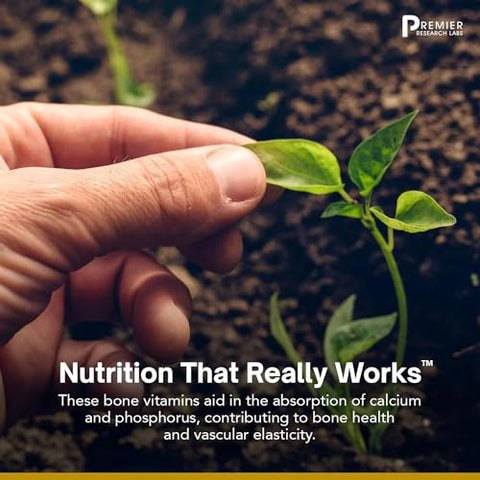 Suplemento de Vitamina D3 K2 | Suporte Ósseo e Saúde Cardíaca | Livre de Glúten – 5000 UI Suplementos Veganos – Qualidade Testada | 30 Fontes Vegetais - Premier Research Labs