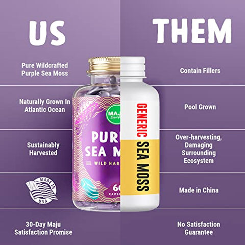 Maju Superfoods - Cápsulas Poderosas de Sea Moss Roxo da MAJU (60 un), Minerais Roxos de Alta Potência, Chondrus Crispus, Mais Forte que Gel, Comparado com Cápsulas de Irish Seamoss Orgânico, Colheita Selvagem