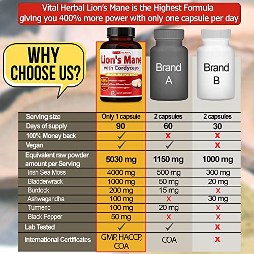 ASTART - VITAL HERBAL Cápsulas de Cogumelo do Leão com Cordyceps Equivalente a 5030mg – Máxima Potência Suplemento Cerebral L-Theanine Ashwagandha para Foco Memória Energia Humor Suporte 90
