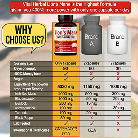 ASTART - VITAL HERBAL Cápsulas de Cogumelo do Leão com Cordyceps Equivalente a 5030mg – Máxima Potência Suplemento Cerebral L-Theanine Ashwagandha para Foco Memória Energia Humor Suporte 90