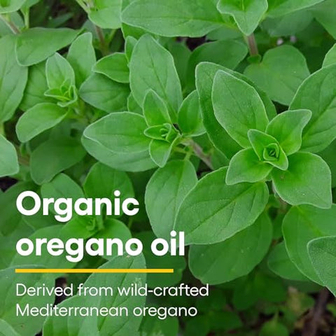 Óleo de Orégano Orgânico Certificado Natural Factors, Suporte Imunológico Herbal, Vegano, Não-OGM, 96 ml