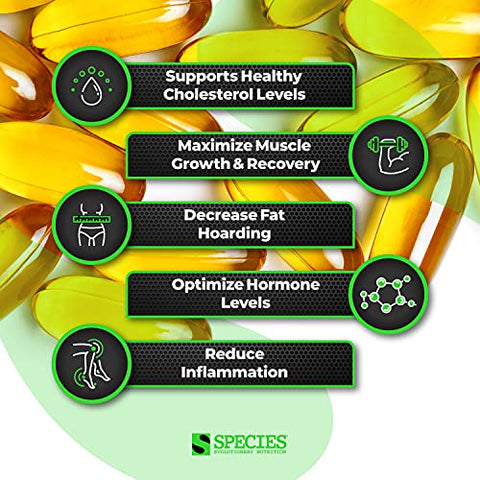 Omegalyze – Fórmula de Ácidos Graxos Essenciais, Suplemento para Maximizar a Recuperação – Ômega 3,6 e 7, 180 Cápsulas - Species Nutrition