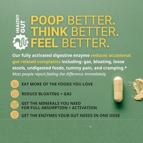 Healthy Gut,LLC - HoloZyme Enzimas Digestivas para um Intestino Saudável | Desfrute Novamente de seus Alimentos Favoritos | com Protease, Amilase, Lipase, Lactase e Mais | 90 Porções